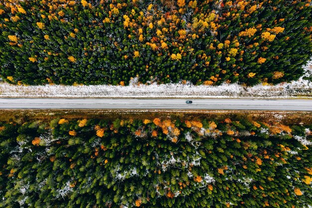 Vista aérea da primeira floresta de cores do outono de neve e uma estrada com carro na Finlândia Lapônia