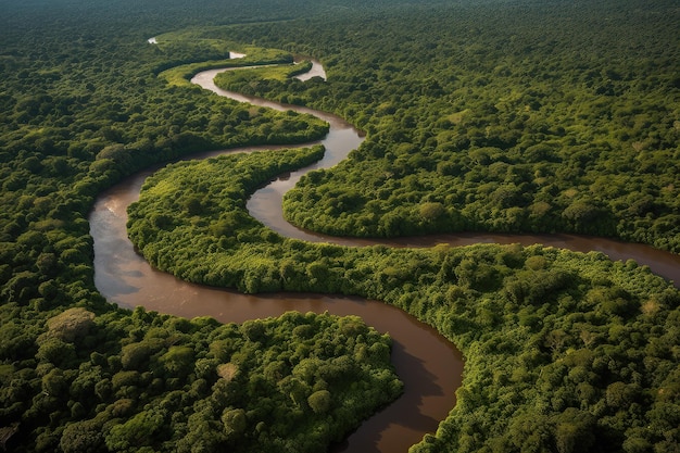 Vista aérea da selva amazônica com rios sinuosos e vegetação densa