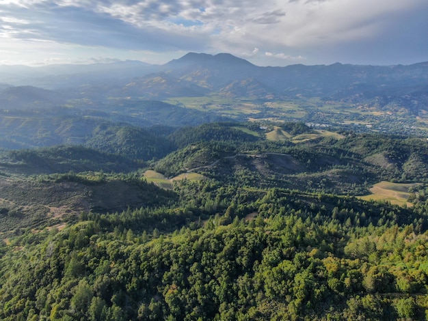 Vista aérea das colinas verdejantes com árvores em Napa Valley Califórnia EUA