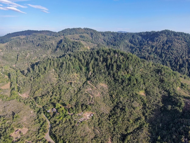 Vista aérea das colinas verdejantes com árvores em napa valley califórnia eua