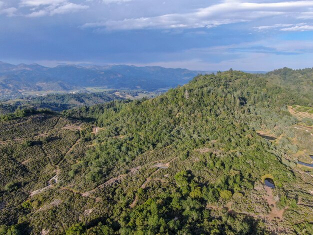 Vista aérea das colinas verdejantes com árvores em Napa Valley Califórnia EUA