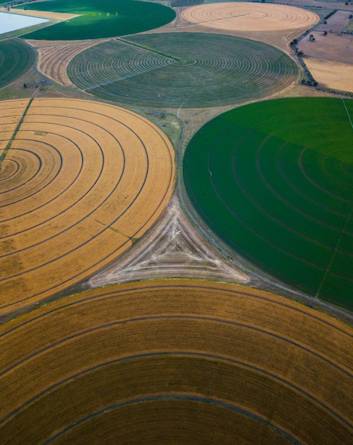 Foto vista aérea das explorações agrícolas