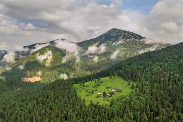 Vista aérea das montanhas Carpathian verdes cobertas com o dia ensolarado do verão sempre verde do foreston do pinho.