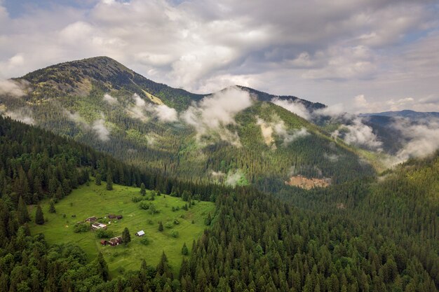 Vista aérea das montanhas Carpathian verdes cobertas com o dia ensolarado do verão sempre verde do foreston do pinho.