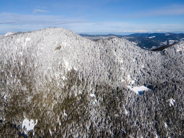 Foto vista aérea das montanhas rodopes perto do pico persenk, na bulgária