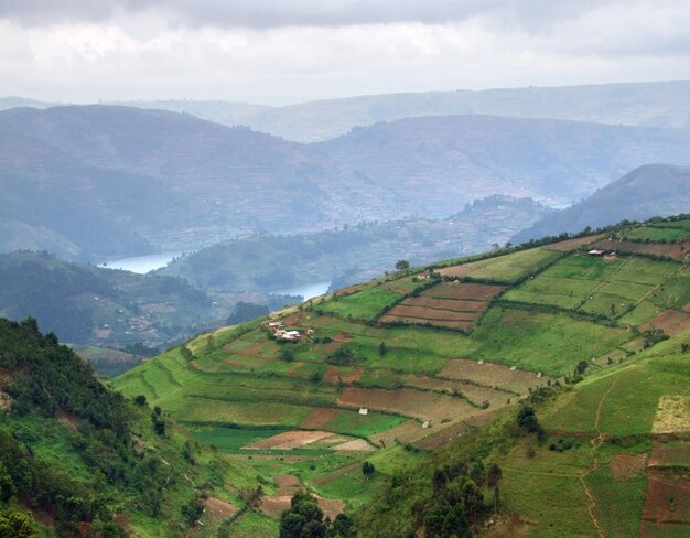 Vista aérea das Montanhas Virunga