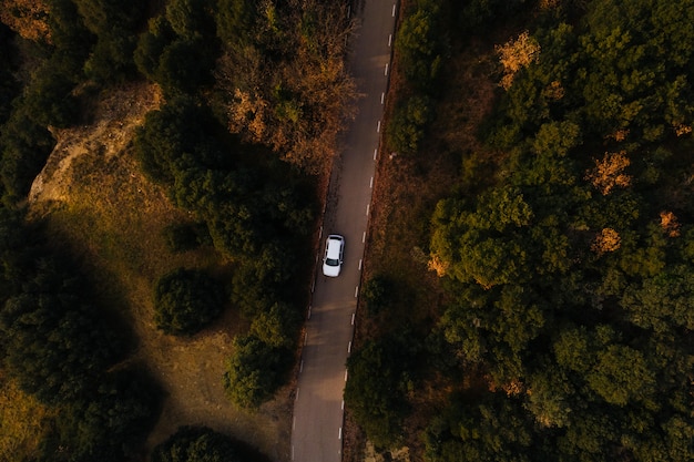 Vista aérea, de, a, estrada montanha