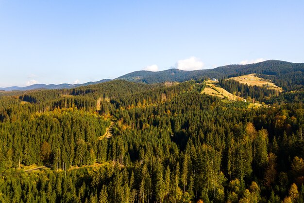 Vista aérea de abetos verdes brilhantes e árvores amarelas de outono na floresta de outono e montanhas distantes.