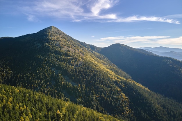 Vista aérea de altas colinas com pinheiros escuros no dia brilhante do outono Cenário incrível da floresta de montanha selvagem