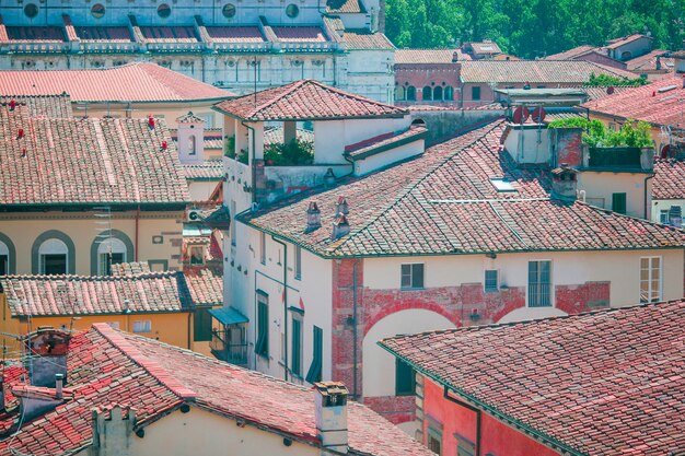 Vista aérea, de, antiga, predios, com, vermelho, telhados, em, lucca