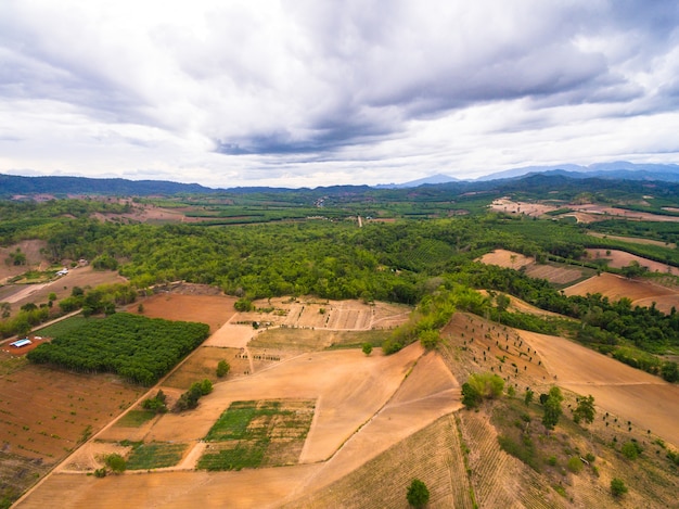 Vista aérea, de, área agrícola