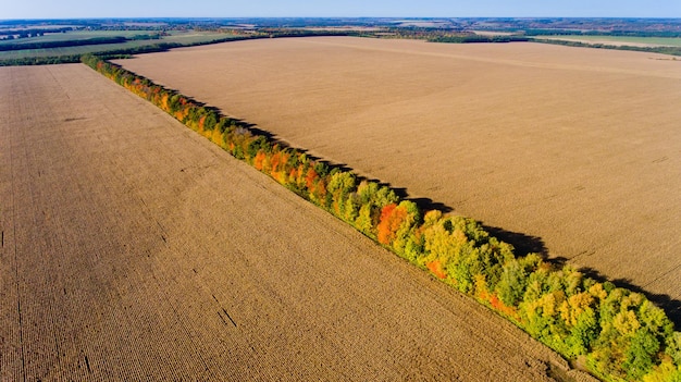 Vista aérea de árvores de outono multicoloridas compartilham campos arados