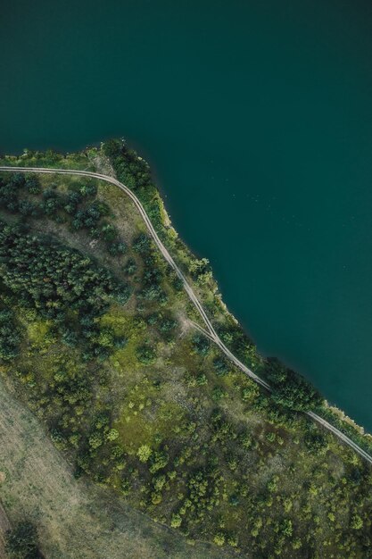 Foto vista aérea de árvores na margem do lago