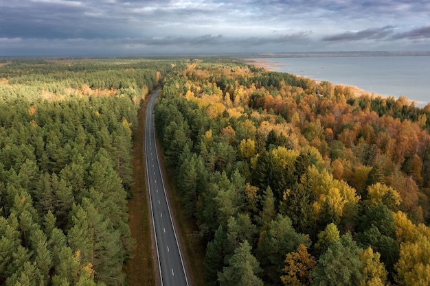 Vista aérea de baixa altitude da estrada reta atravessando a floresta em cores vivas do outono Rússia