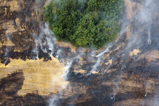Vista aérea de campo em chamas com fumaça em terras agrícolas
