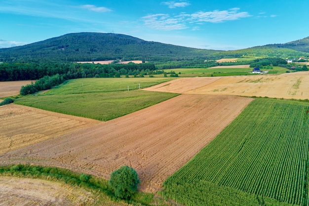 Vista aérea de campos agrícolas e verdes no campo