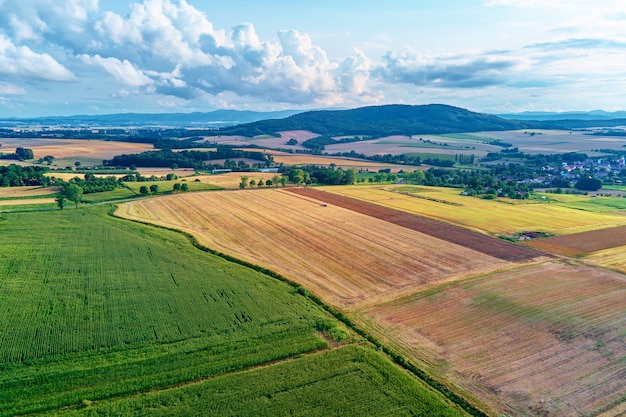 Vista aérea de campos agrícolas e verdes no campo