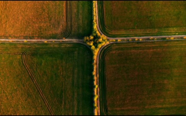 Vista aérea de campos agrícolas Paisagem agrícola Vista aérea