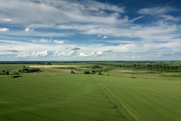 Vista aérea de campos agrícolas. Vista aérea do campo, paisagem agrícola.