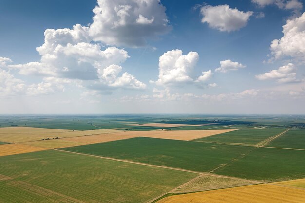 Vista aérea de campos agrícolas. Vista aérea do campo, paisagem agrícola.