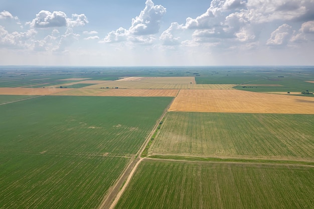 Vista aérea de campos agrícolas. Vista aérea do campo, paisagem agrícola.