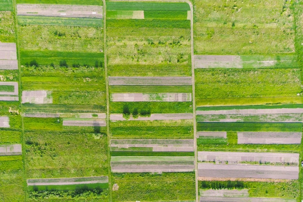 Vista aérea de campos agrícolas