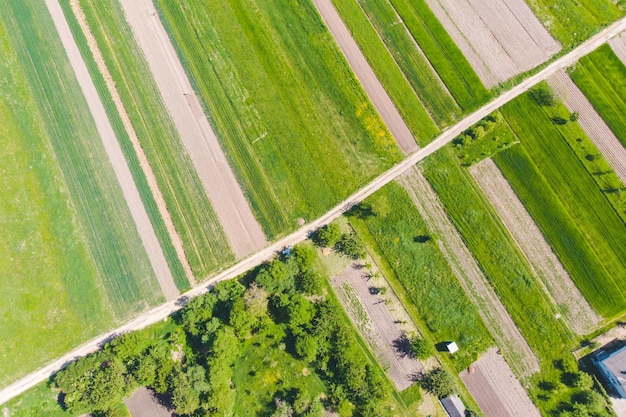 Vista aérea de campos agrícolas