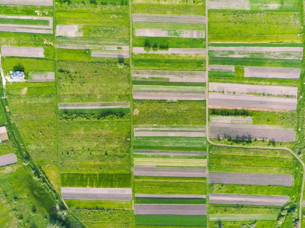 Vista aérea de campos agrícolas