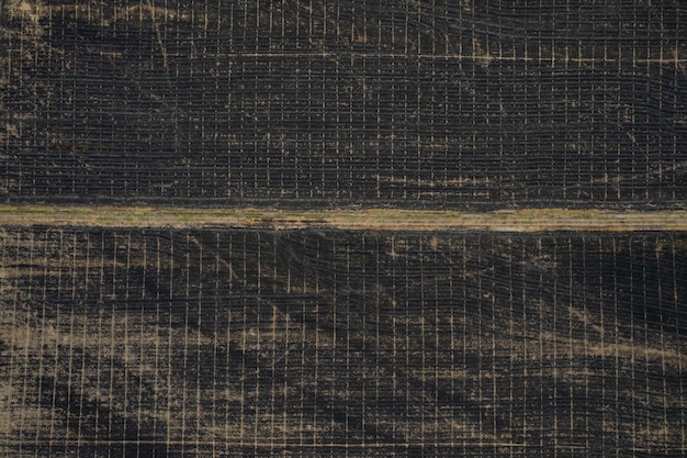 Vista aérea de campos de arroz queimado de drone voador de incêndios florestais de arroz de campo