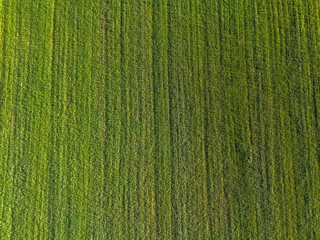 Vista aérea de campos e prados em áreas verdes rurais