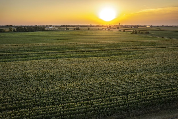 Vista aérea de campos exuberantes ao pôr-do-sol