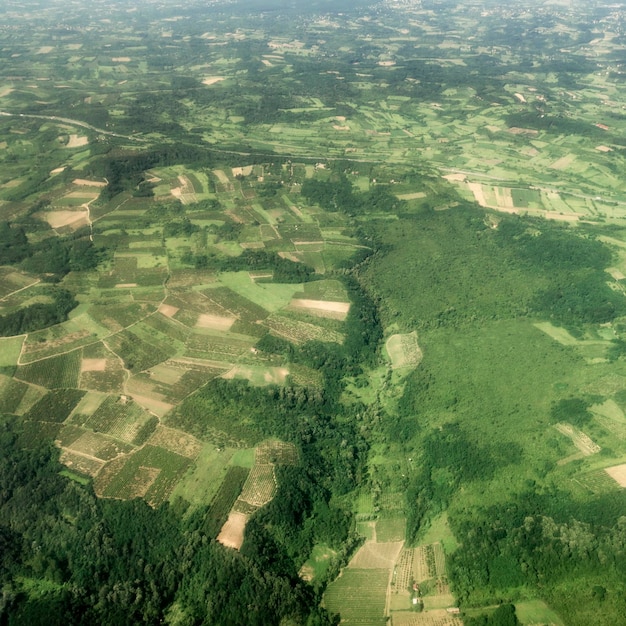 Vista aérea de campos verdes, floresta rural