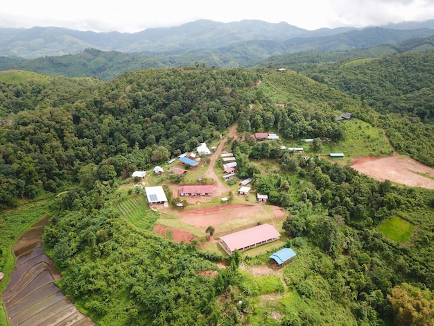 Vista aérea de casas em meio a árvores