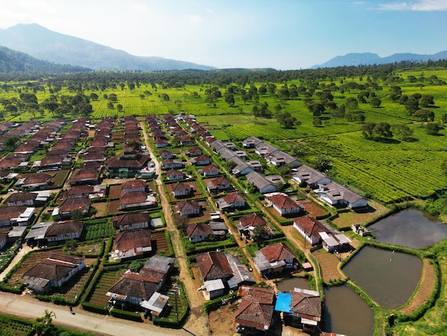 Vista aérea de casas na área de plantações de chá localizada em Pangalengan, Java Ocidental, Indonésia