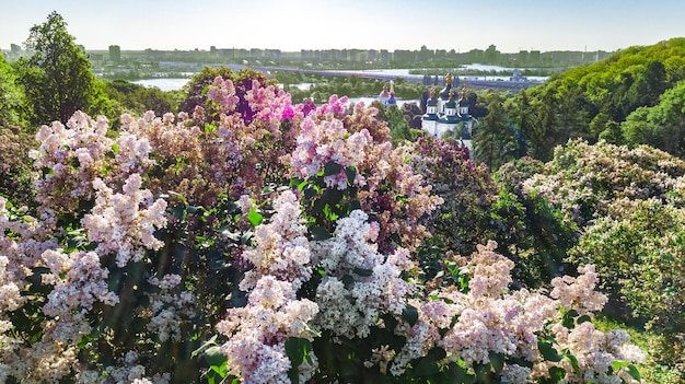 Vista aérea de cima da cidade de Kiev e do parque do jardim botânico de cima, florescendo lilás e Kyiv