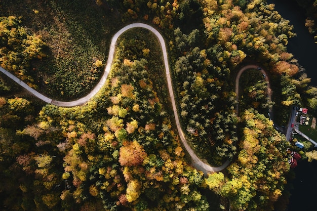 Vista aérea de cima da estrada curvilínea através da floresta de outono na paisagem natural das montanhas