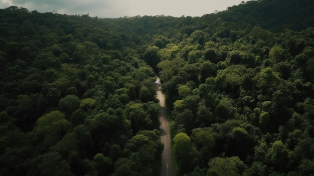 Vista aérea de cima da estrada de asfalto através da floresta verde floresta tropical saudável Generative ai