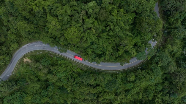 Vista aérea de cima da estrada rural na floresta verde Vista superior da estrada rural e da árvore florestal verde