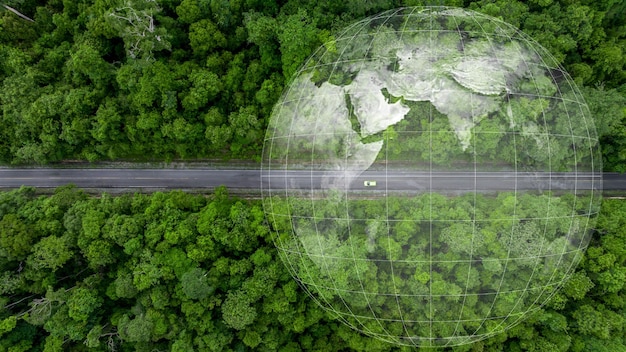 Vista aérea de cima de um veículo elétrico verde dirigindo um carro elétrico sobre uma estrada florestal reta