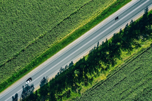 Vista aérea de cima de uma estrada rural de asfalto através de um campo de milho verde no verão