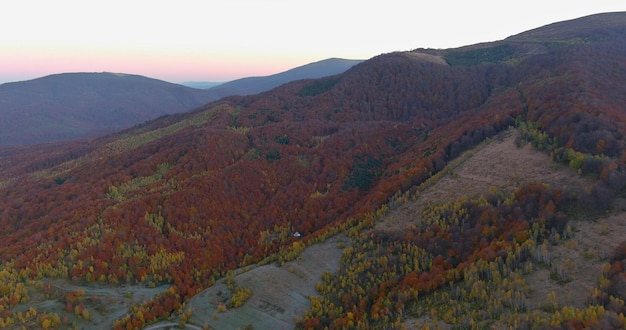 Vista aérea de cima na bela floresta matinal de outono da paisagem montanhosa