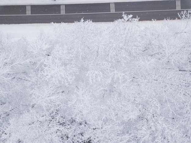 Vista aérea de cima para baixo à noite de uma estrada de neve rodeada de uma floresta de pinheiros no inverno.