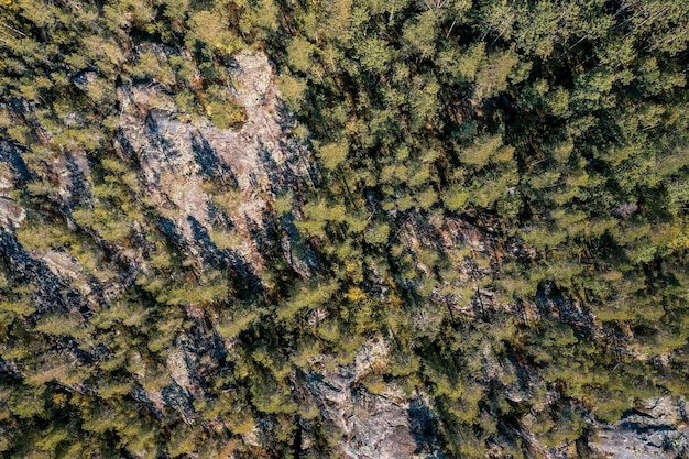 Vista aérea de cima para baixo da área rochosa escassamente coberta de pinheiros e bétulas Karelia Rússia