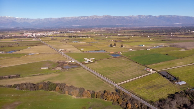 Vista aérea, de, colheita, campos