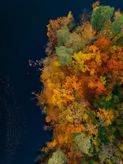Vista aérea de drones de árvores coloridas da floresta e lago no outono Ucrânia