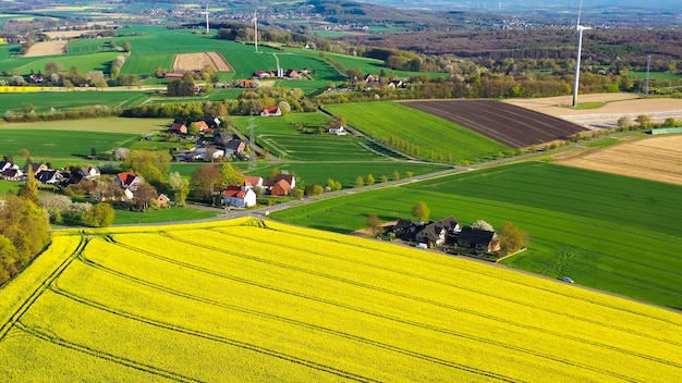 Vista aérea de drones de campos de colza amarela no campo alemão