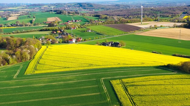 Foto vista aérea de drones de campos de colza amarela no campo alemão