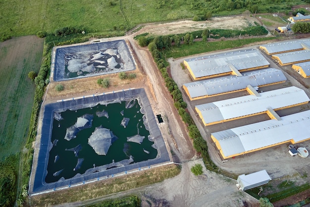 Vista aérea de edifícios de fazenda de gado entre terras verdes