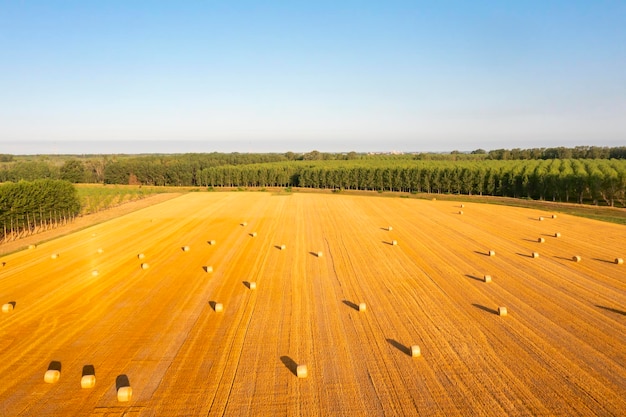 Vista aérea de fardos de feno no campo agrícola