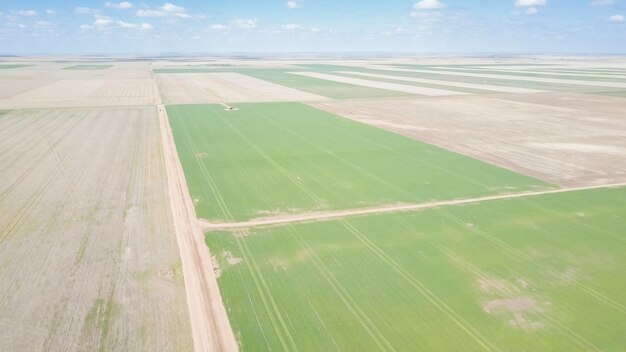 Vista aérea de fazendas nas planícies orientais na primavera.